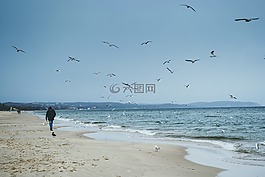 自然,波羅的海,海灘