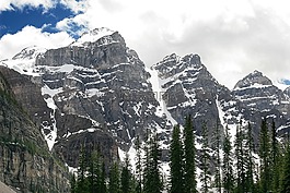山,范圍,樹