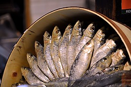 鹽溶,罐頭,沙丁魚