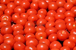 蕃茄,新鮮,蔬菜