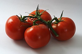 蕃茄,新鮮,蔬菜