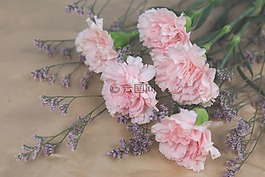 自然,水華,開花