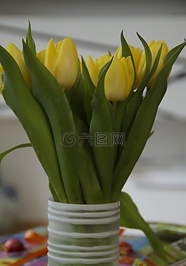 郁金香,郁金香花束,花束