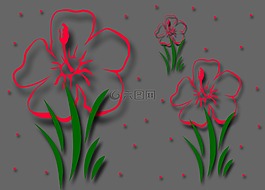 花,開花,花園