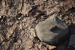 禪宗,愛,巖