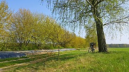 性質(zhì),景觀,自行車