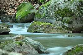 巖,水,綠色