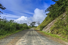 路径,云,树