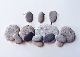 鸟,海滩,自然