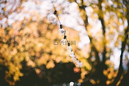 深度的字段,灯泡,串