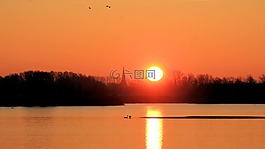 日出,景觀,太陽