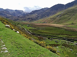 自然,景觀,山