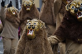 獅子,tiermaske,動物