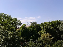 景觀,性質(zhì),森林