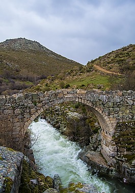 橋,水,景觀