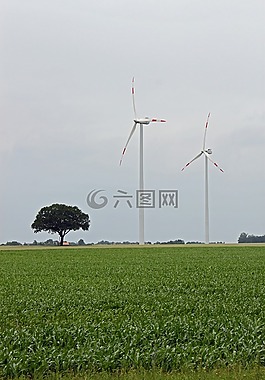 風(fēng)車,能源,風(fēng)電