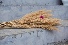 花卉,花束,装饰花