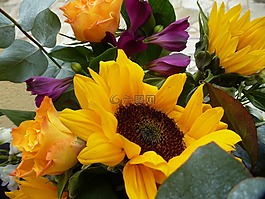 花束,黃色,鮮花