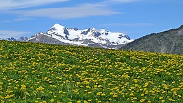景觀,山,性質(zhì)