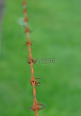電線,銹,金屬