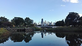 城市,反射,湖