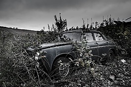 車,老,車輛