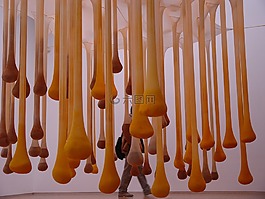 藝術,圖庫,藝術畫廊