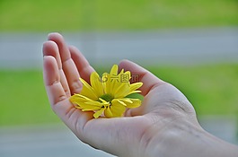 手,手指,天空