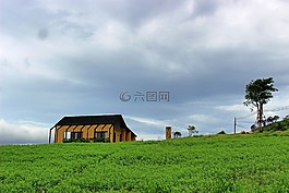 家,農村,孤獨