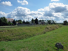 視圖,平原,綠色