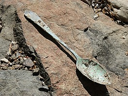 勺子,老,羊駝