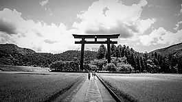 黑色白色,農(nóng)村,原野