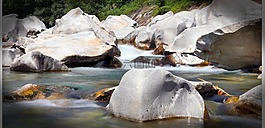 提契諾州,過獨(dú)身生活,水