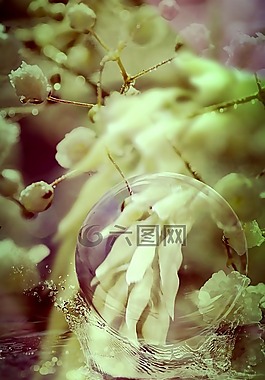 蘭花,野生,性質(zhì)