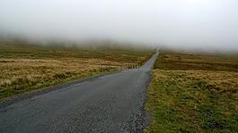 薄霧,路,霧