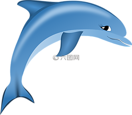 海豚,海