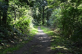 軌道,國家,路徑