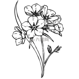 鮮花,束,芽