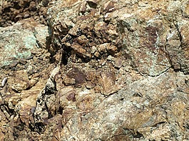 結(jié)構(gòu),紋理,背景