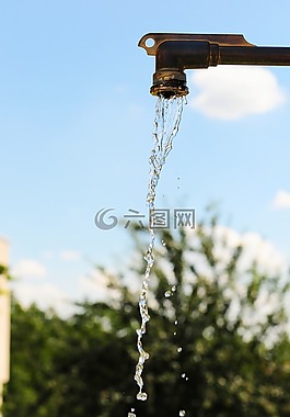 性質(zhì),天空,樹