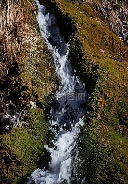 源,過(guò)獨(dú)身生活,水