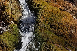 源,過(guò)獨(dú)身生活,水
