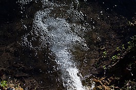 源,過(guò)獨(dú)身生活,水