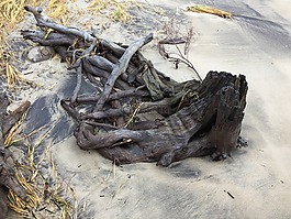 木材,消防,砂