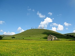 谷倉,牧場,原野