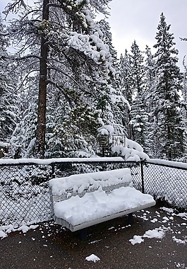 座位,雪,長凳