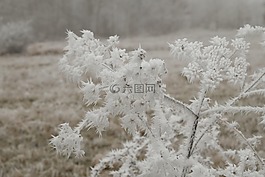 冬天,寒冬,eiskristalle