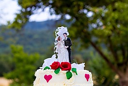婚禮,蛋糕,結婚