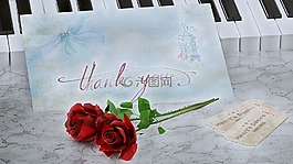 謝謝,玫瑰,地圖