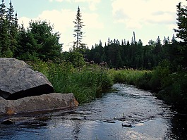 過獨(dú)身生活,河,水